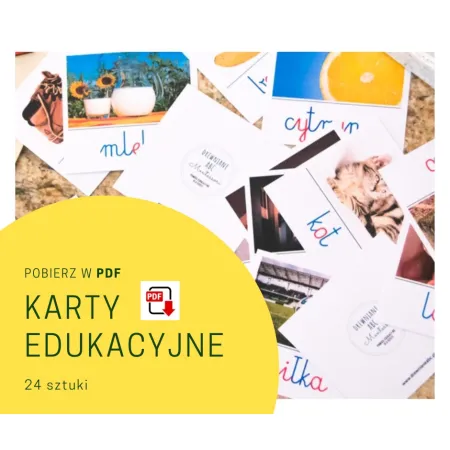 Zestaw: ruchomy alfabet + pudełko + mata + karty edu. + litery duże